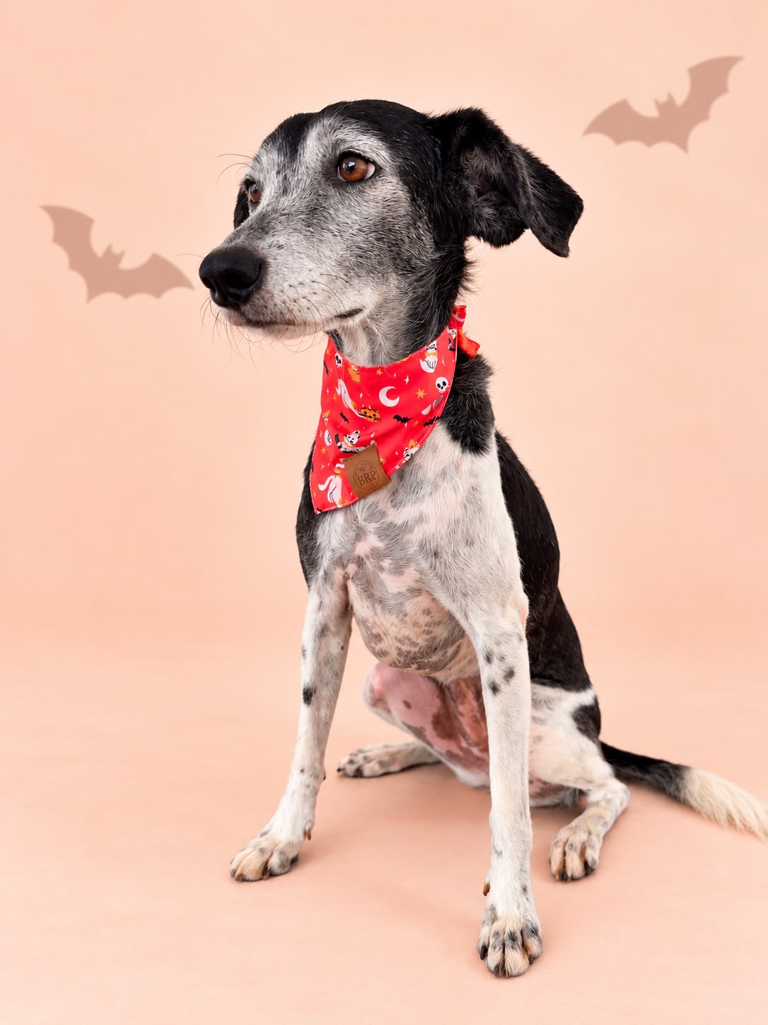 Pañoleta Halloween Naranja