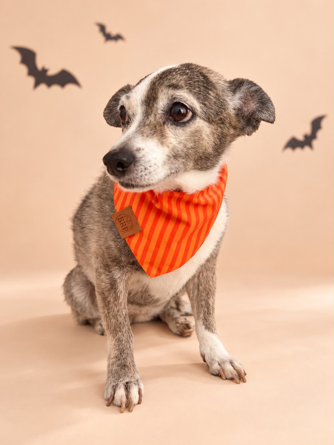 Pañoleta Halloween Naranja