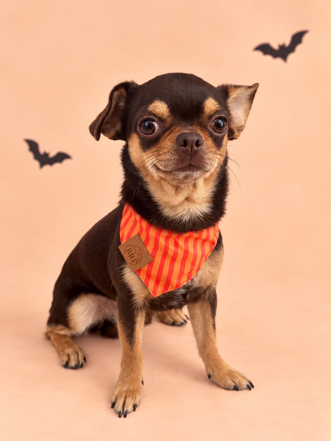 Pañoleta Halloween Naranja