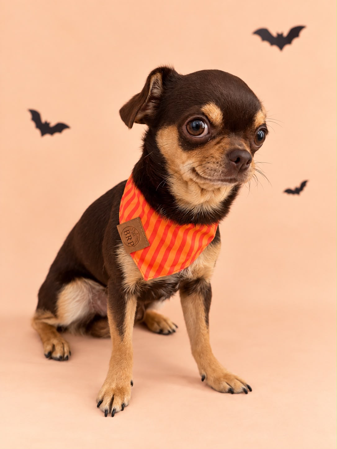 Pañoleta Halloween Naranja