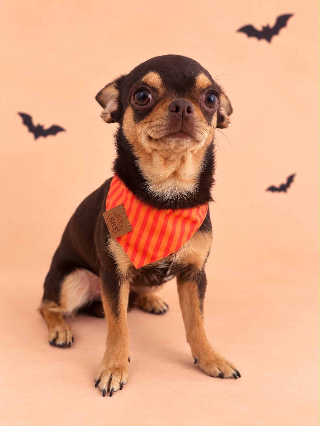 Pañoleta Halloween Naranja