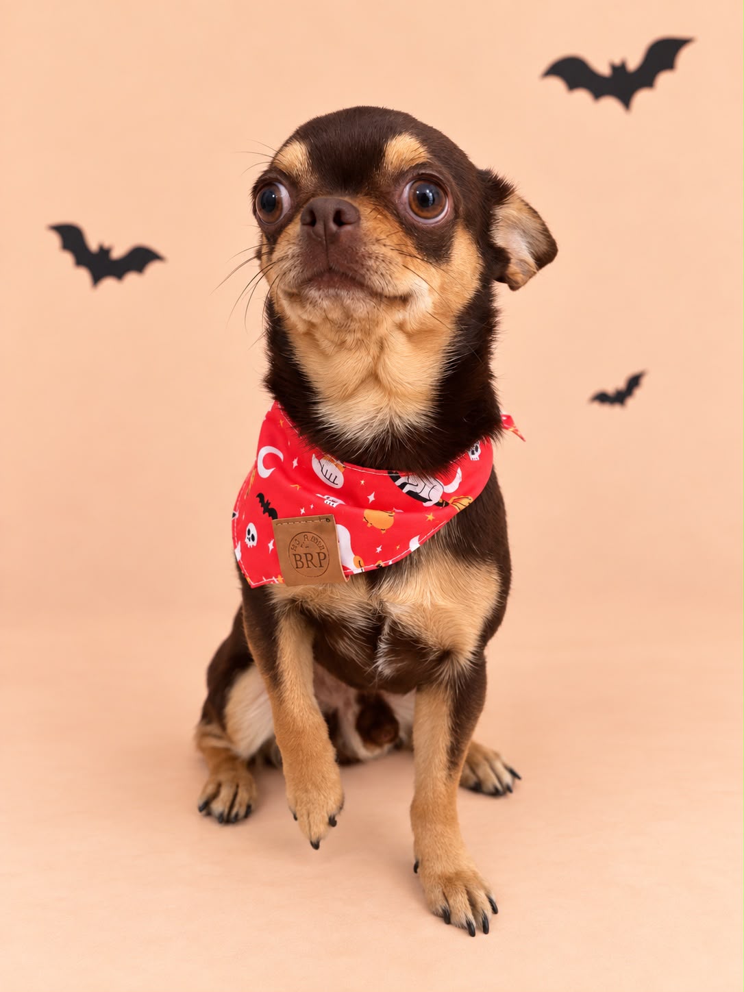 Pañoleta Halloween Naranja