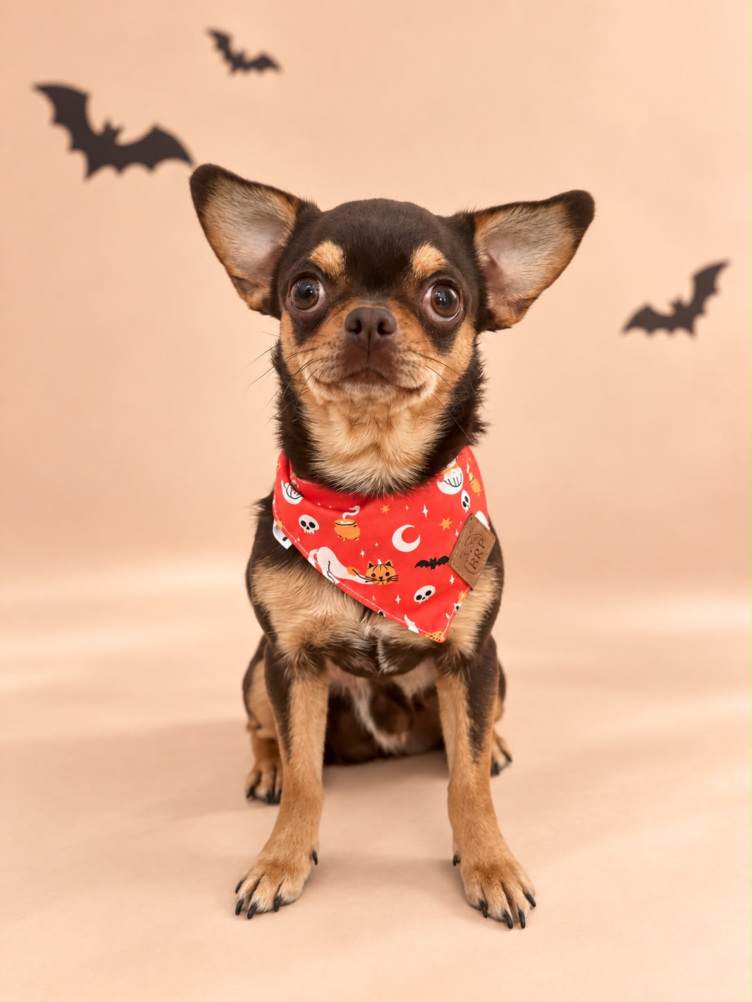 Pañoleta Halloween Naranja