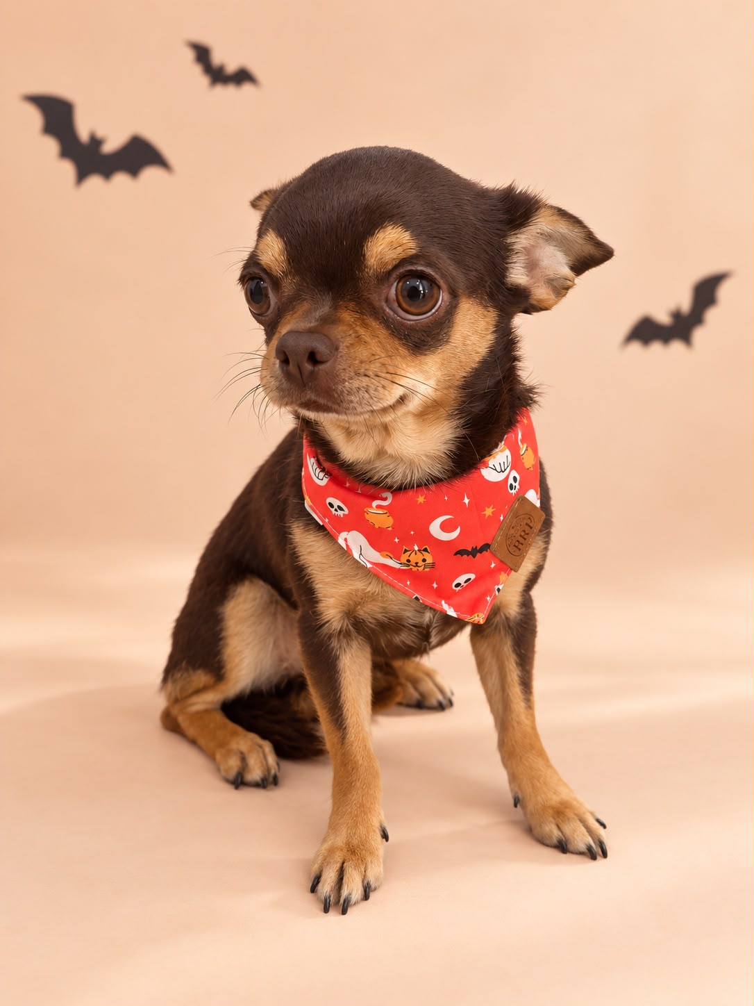 Pañoleta Halloween Naranja