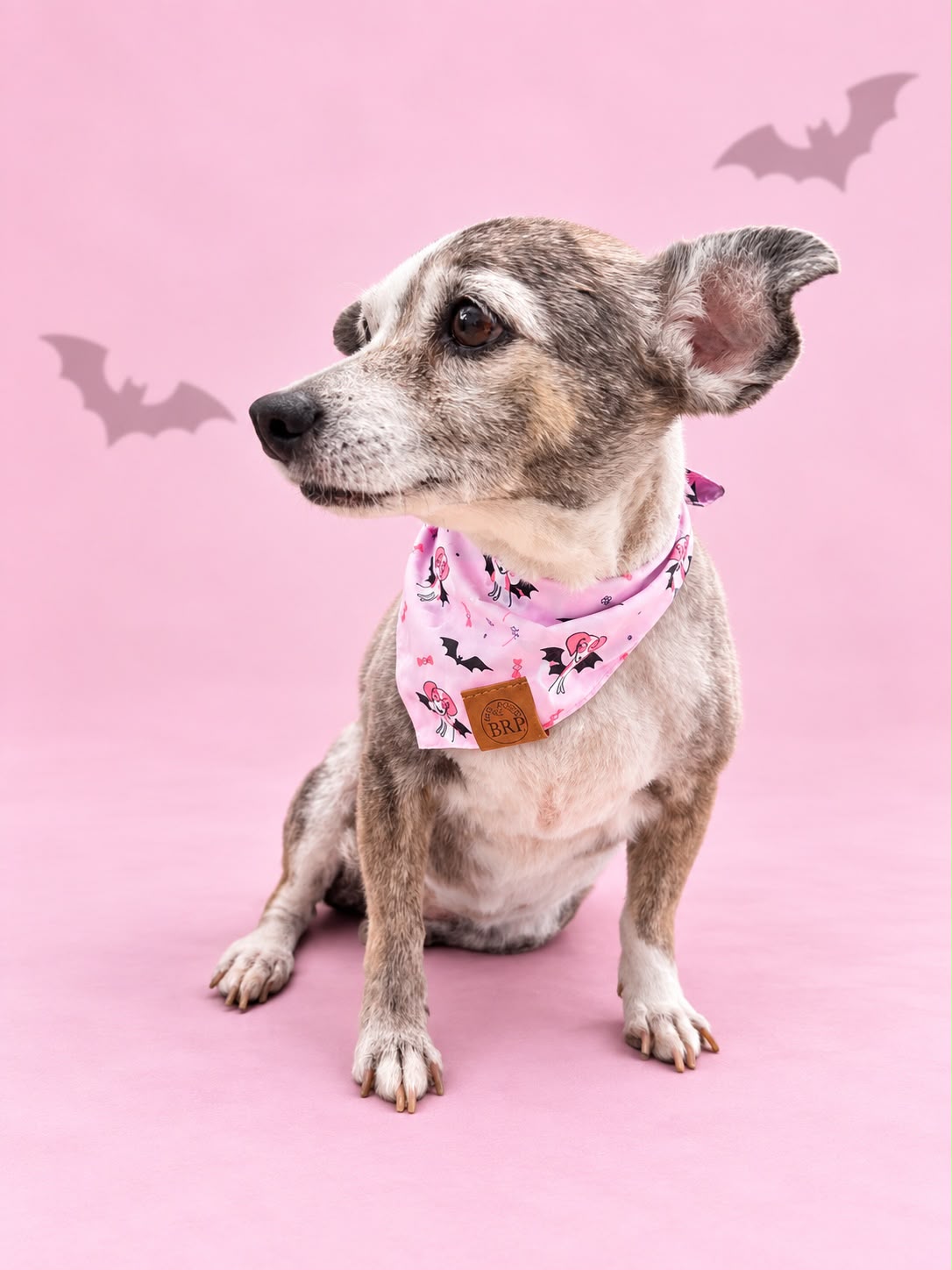 Pañoleta Halloween Rosa