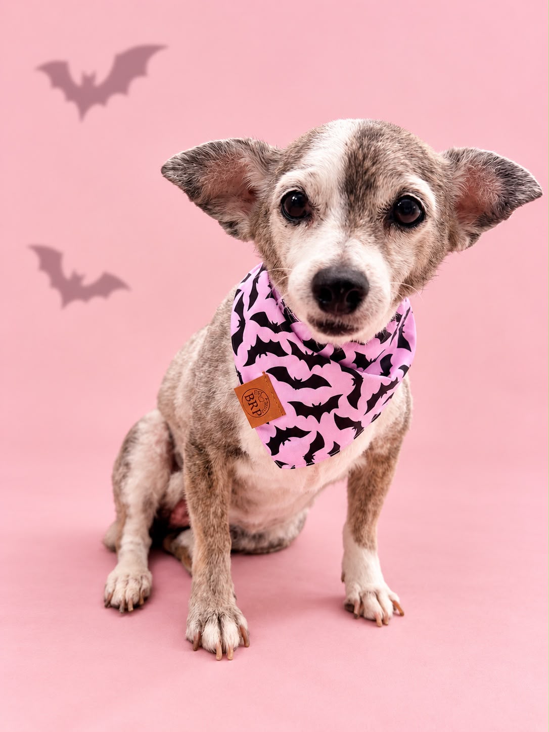 Pañoleta Halloween Rosa