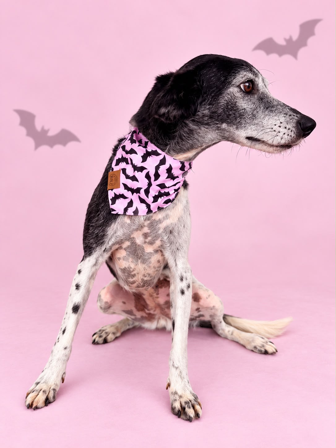 Pañoleta Halloween Rosa