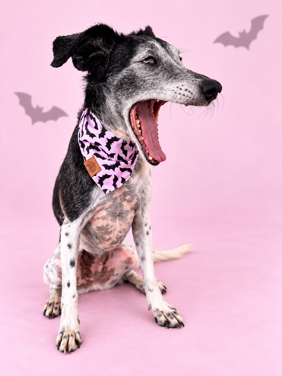Pañoleta Halloween Rosa