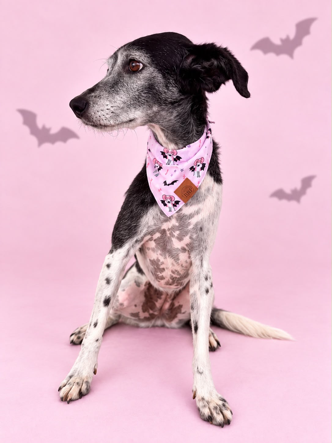 Pañoleta Halloween Rosa