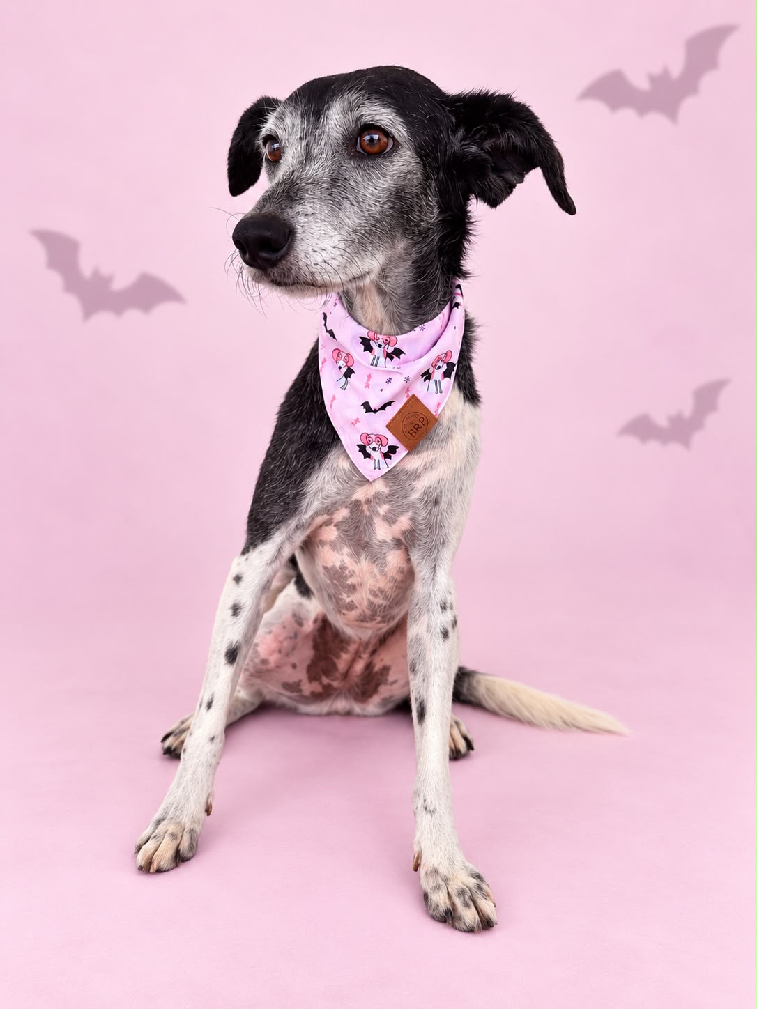 Pañoleta Halloween Rosa