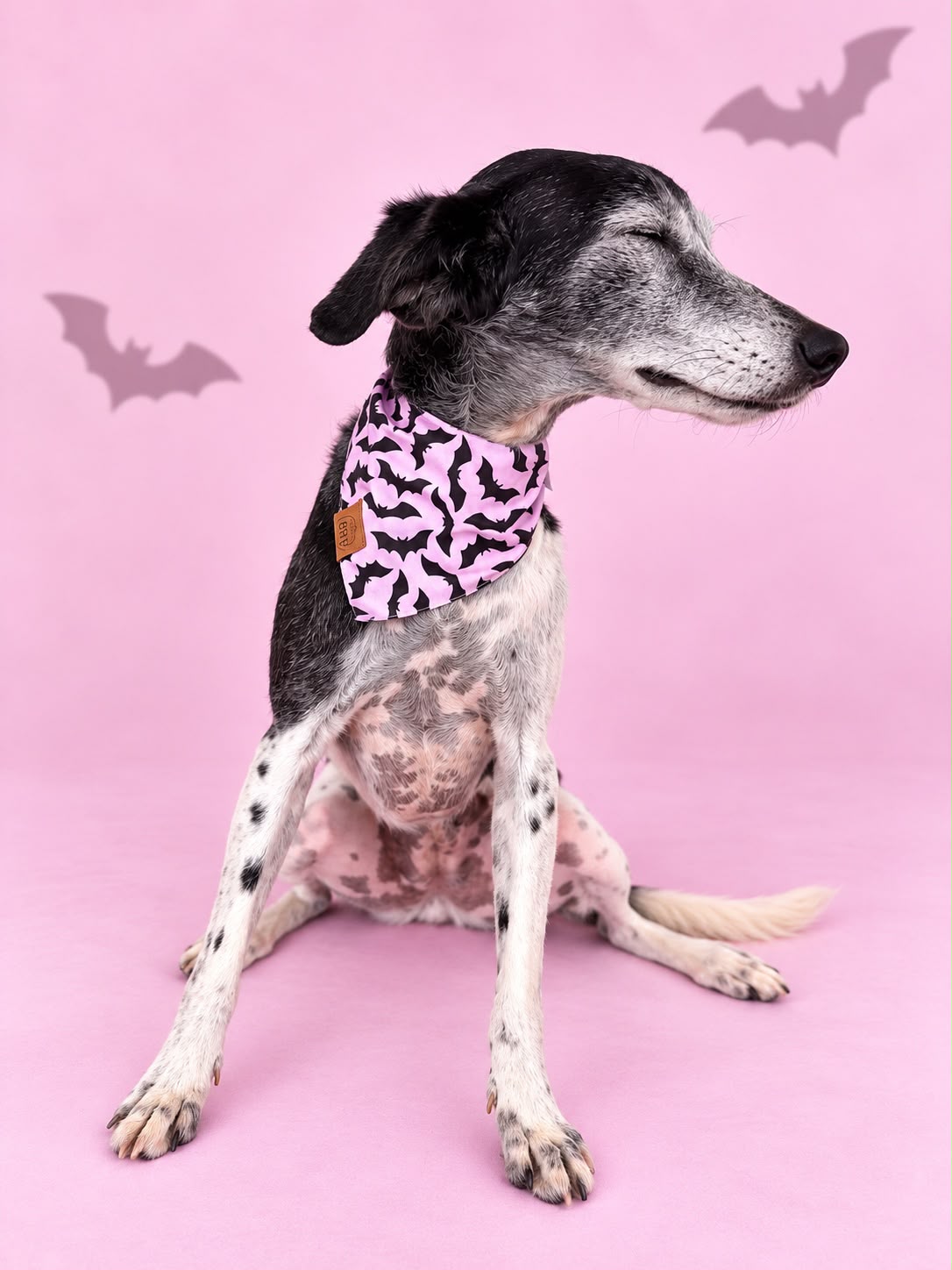Pañoleta Halloween Rosa
